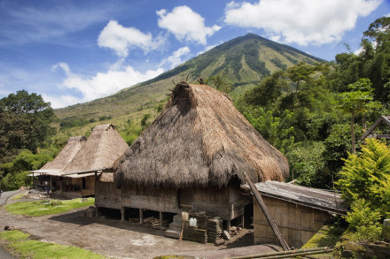 Flores Island 