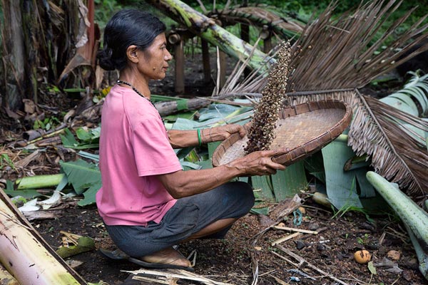 Flores Natural - Culture and Komodo Dragon 10D/9N