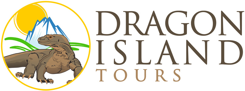 Dragon Island Tours Introduction