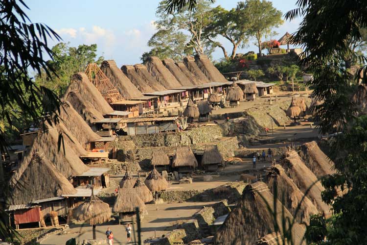 Komodo Flores Experience Tour 6D/5N