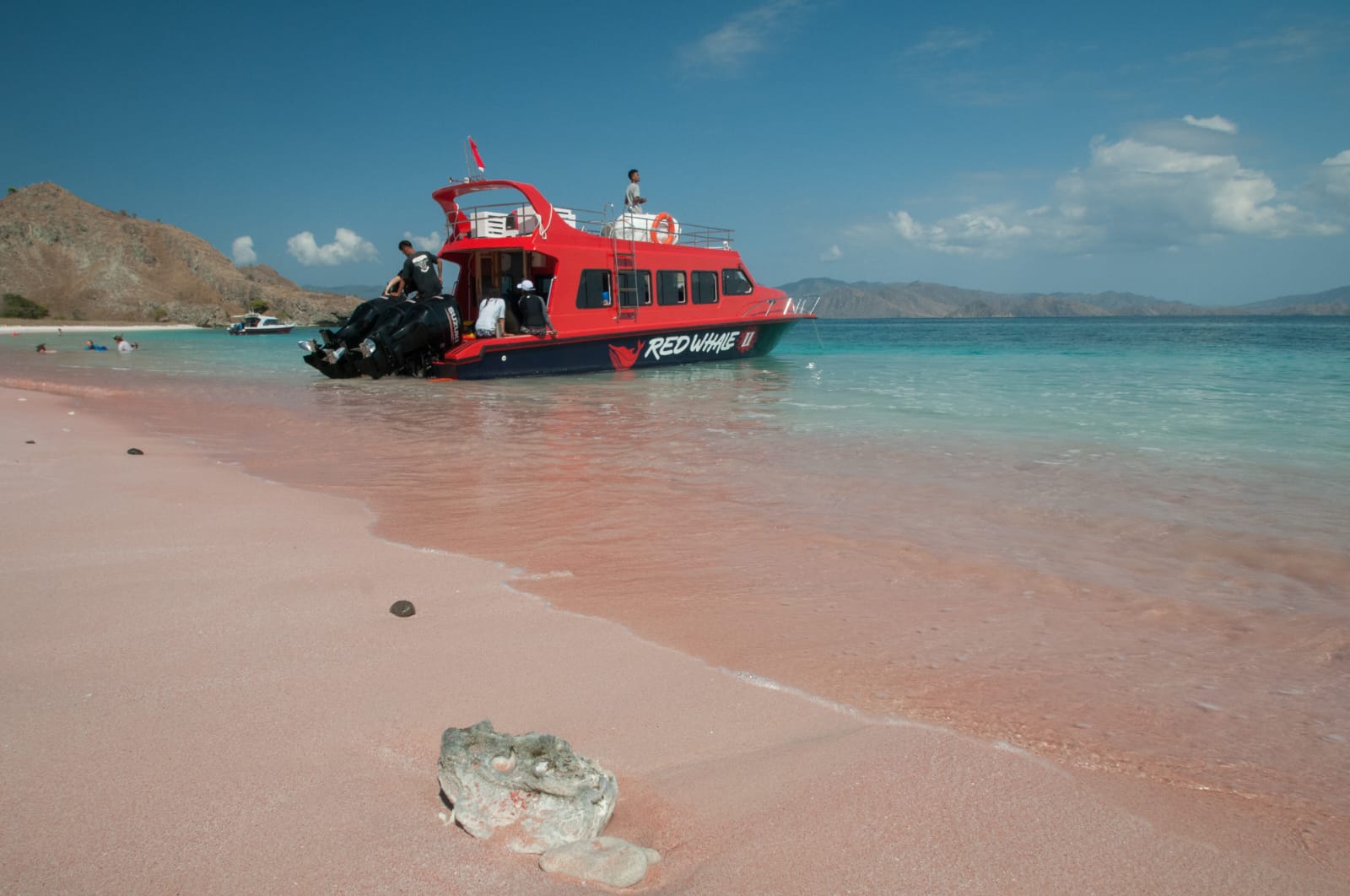 Komodo Day Private Tour